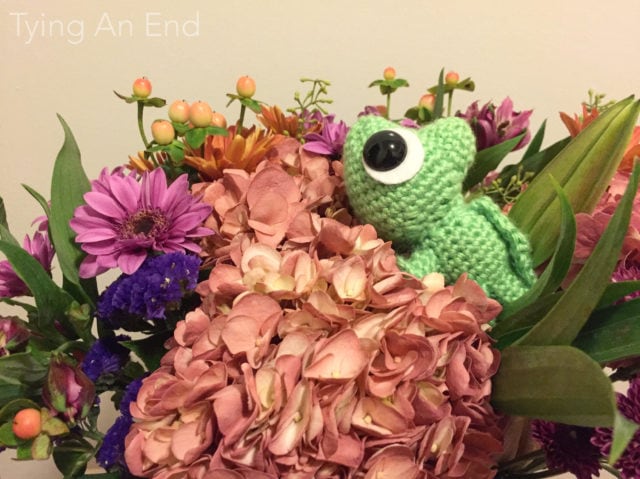 Pascal amigurumi