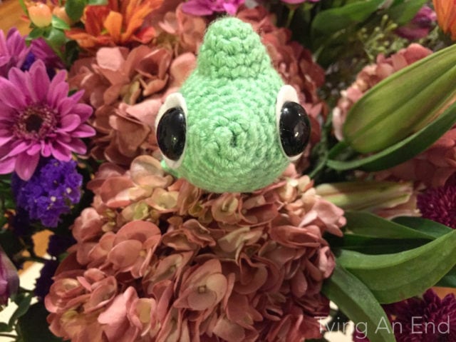 Pascal amigurumi