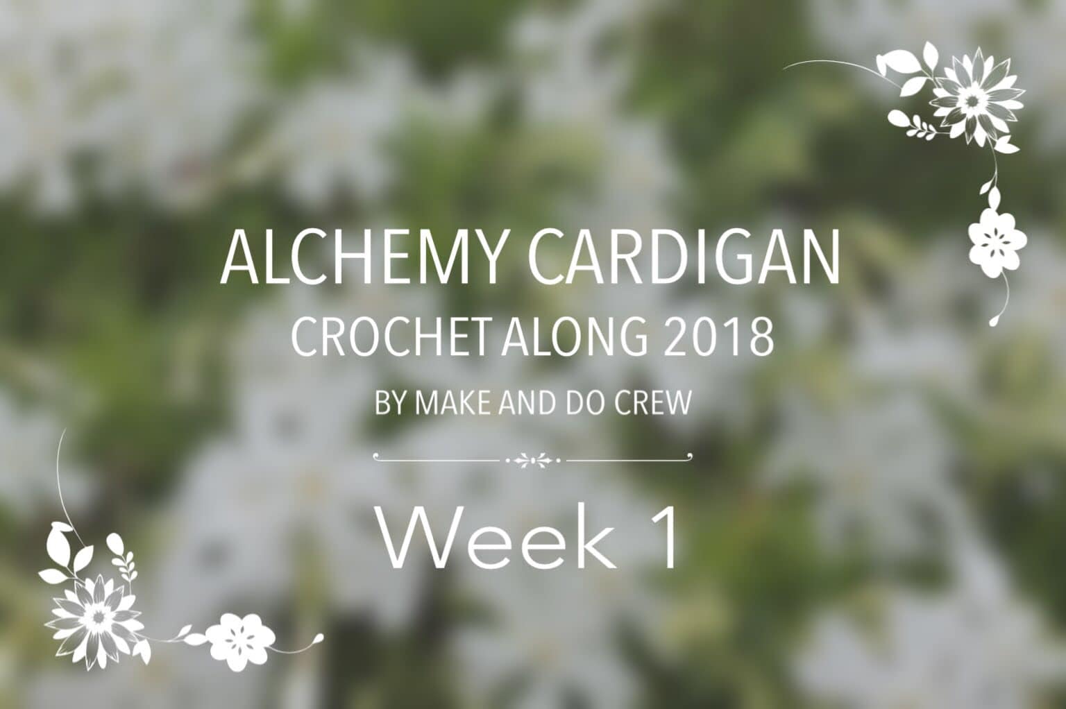 Alchemy Cardigan week 1